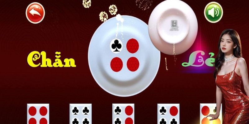 Nằm Mơ Đánh Xóc Đĩa Đánh Con Gì? Dự Đoán Vận May Sắp Tới 1 nam-mo-danh-xoc-dia-danh-con-gi